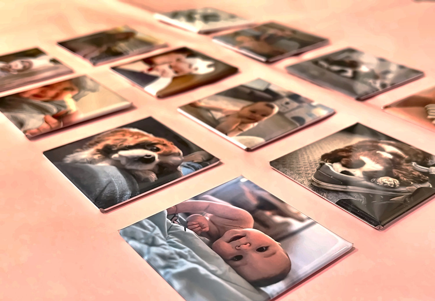 Image with text section