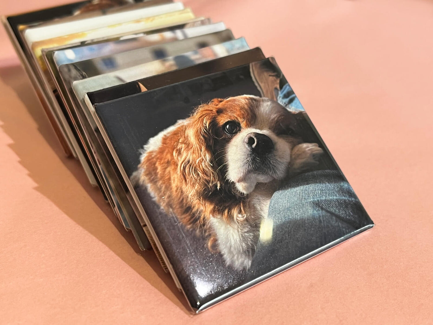 Image with text section